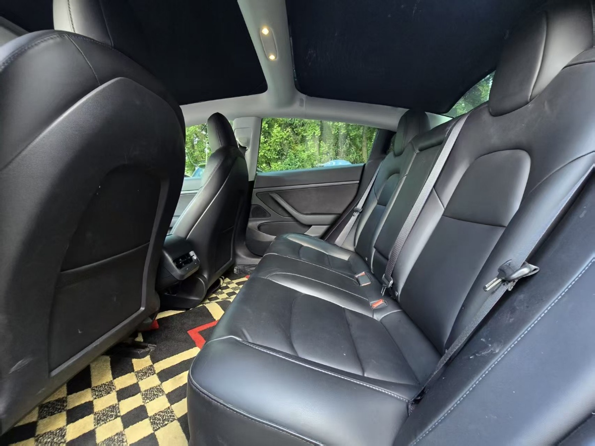 Tesla Model 3 2020 #5 Tesla Model 3 2020 car image #5