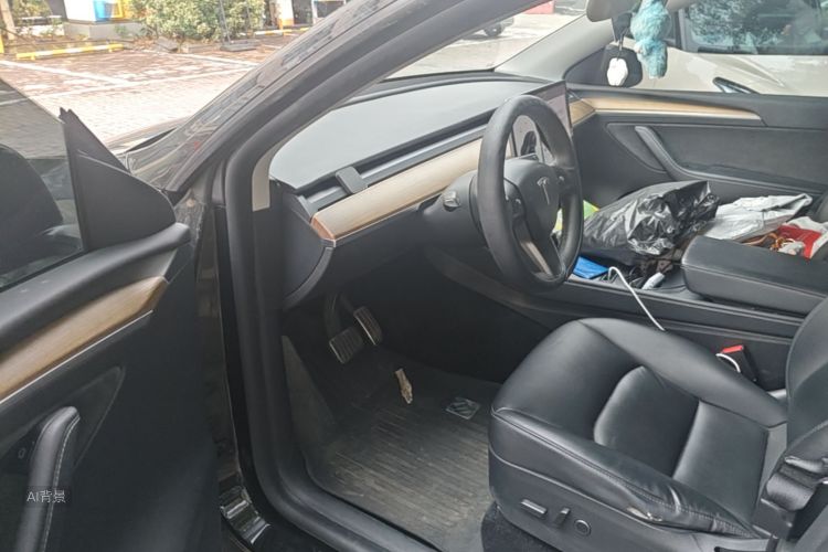 Tesla Model Y 2021 car image #18