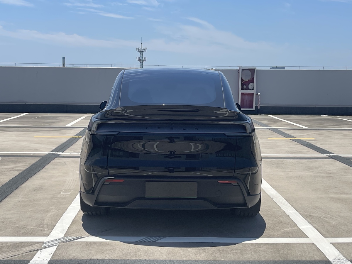 Tesla Model Y L 2025 car image #6