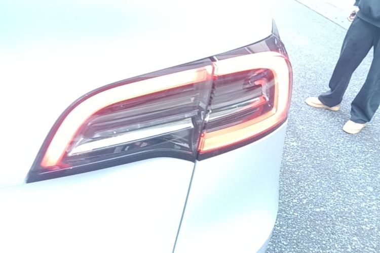 Tesla Model Y 2021 #8 Tesla Model Y 2021 car image #8