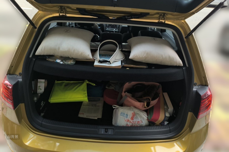 Volkswagen Golf 2018 car image #21