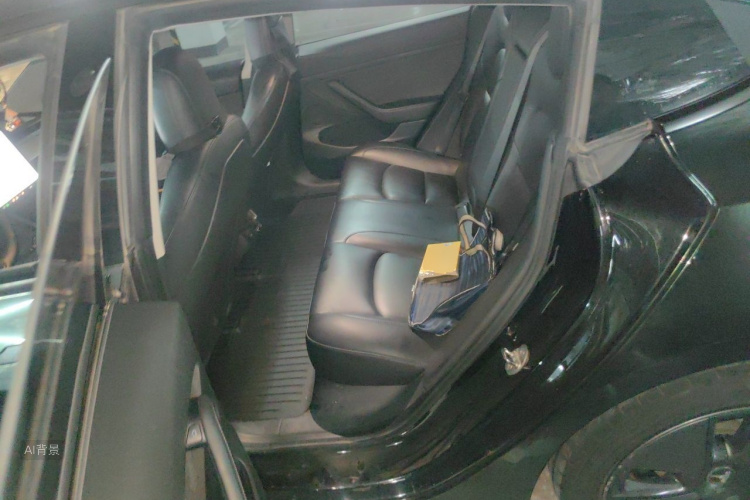 Tesla Model 3 2021 car image #19