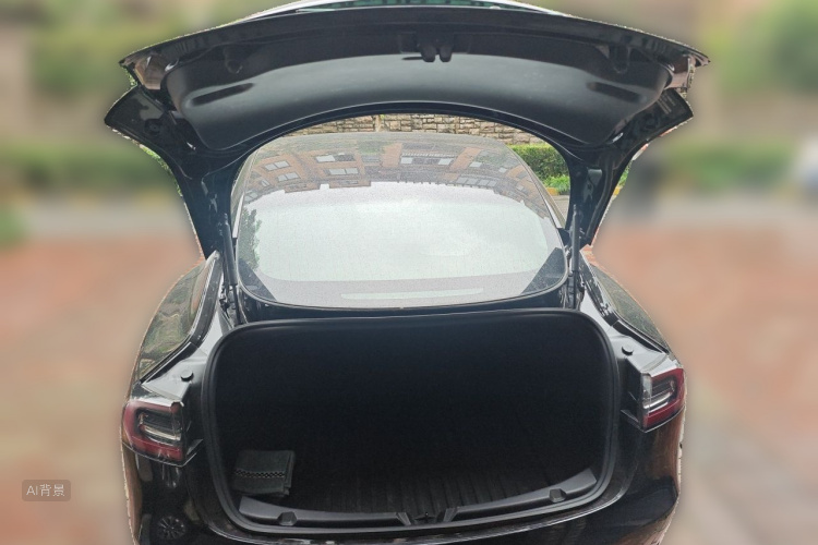 Tesla Model 3 2020 car image #21