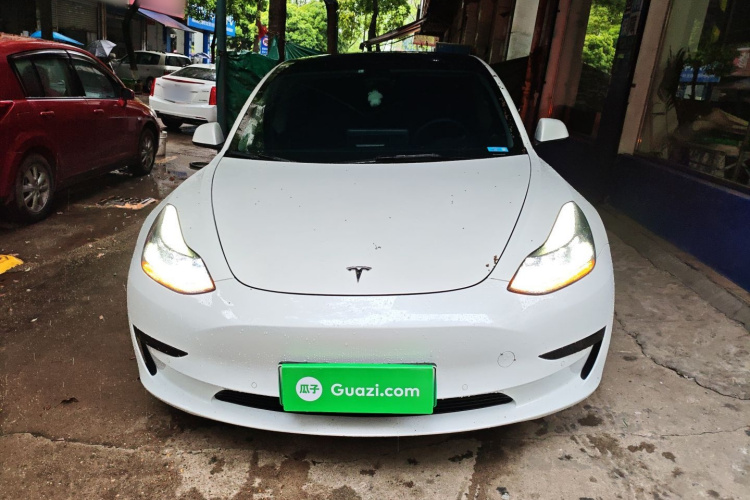 Tesla Model 3 2022 #3 Tesla Model 3 2022 car image #3