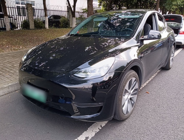 Tesla Model Y 2021 Tesla Model Y 2021 car image