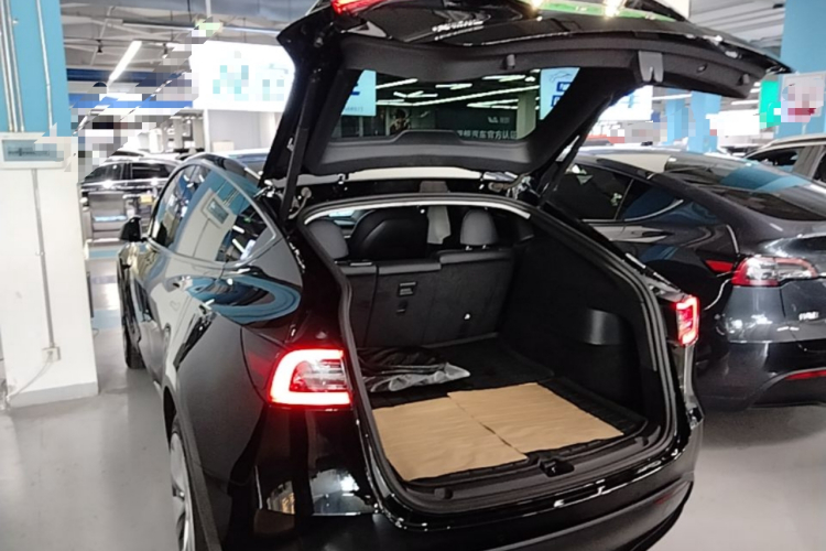 Tesla Model Y 2021 car image #19