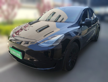 Tesla Model Y 2023 Tesla Model Y 2023 car image