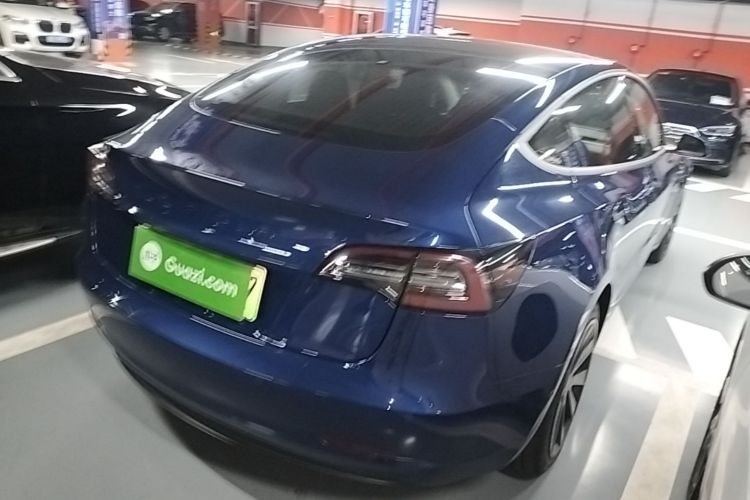 Tesla Model 3 2020 imagen de coche #5