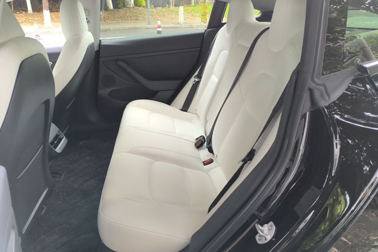 Tesla Model 3 2023 car image #17