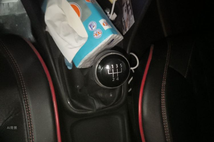 Volkswagen Polo 2014 car image #16