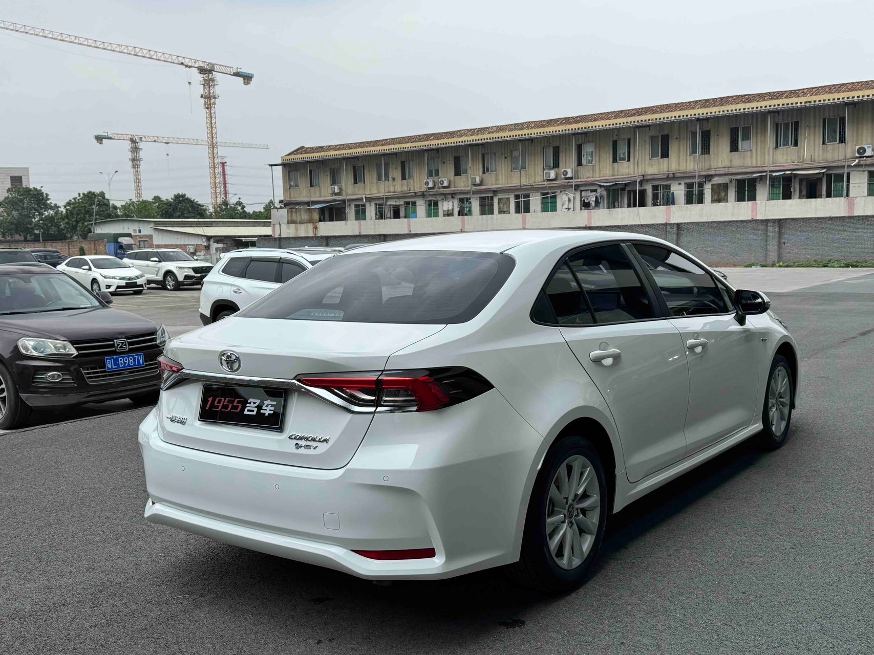 Toyota Corolla 2025 #7 Toyota Corolla 2025 car image #7