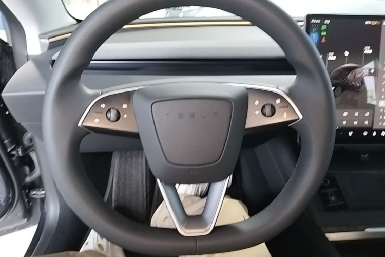 Tesla Model 3 2025 immagine di auto #11