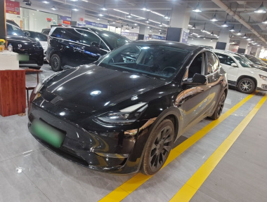 Tesla Model Y 2021 Tesla Model Y 2021 car image