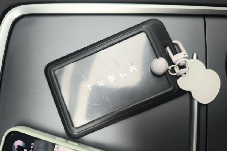 Tesla Model Y 2024 car image #9
