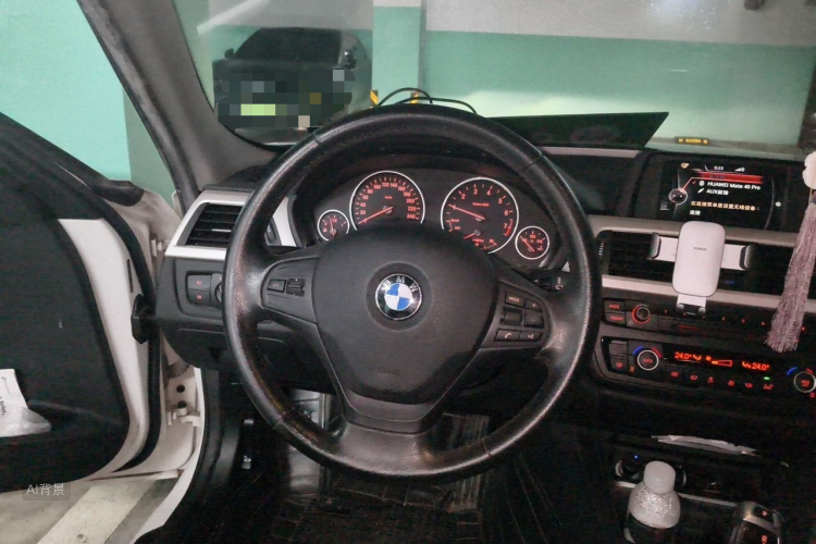BMW 3 Series 2014 car image #12