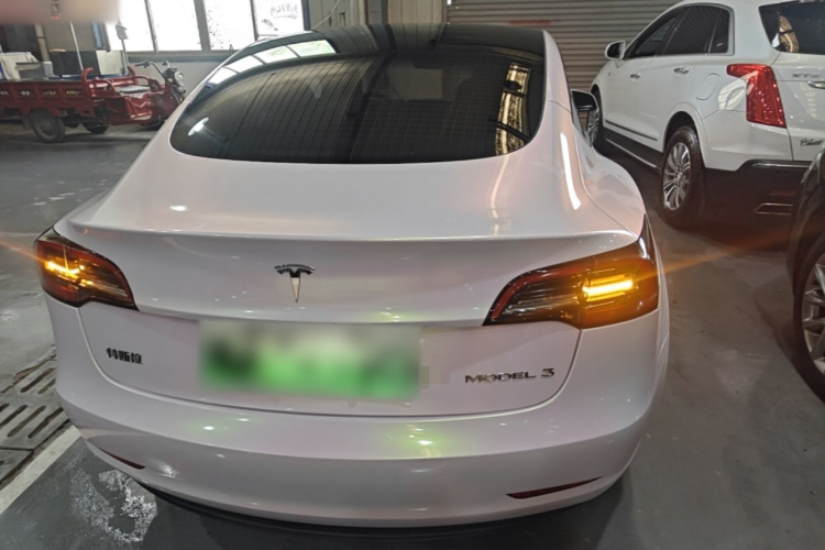 Tesla Model 3 2023 #6 Tesla Model 3 2023 car image #6
