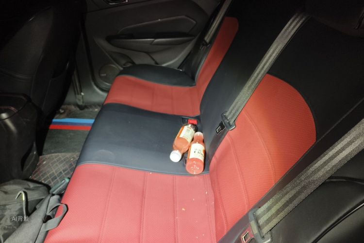 Chery Arrizo 5 2016 car image #19