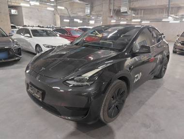 Tesla Model Y 2024 Tesla Model Y 2024 car image