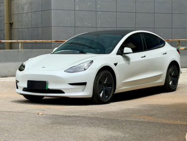 Tesla Model 3 2022 car image 