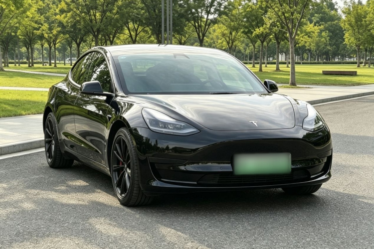 Tesla Model 3 2022 #4 Tesla Model 3 2022 car image #4