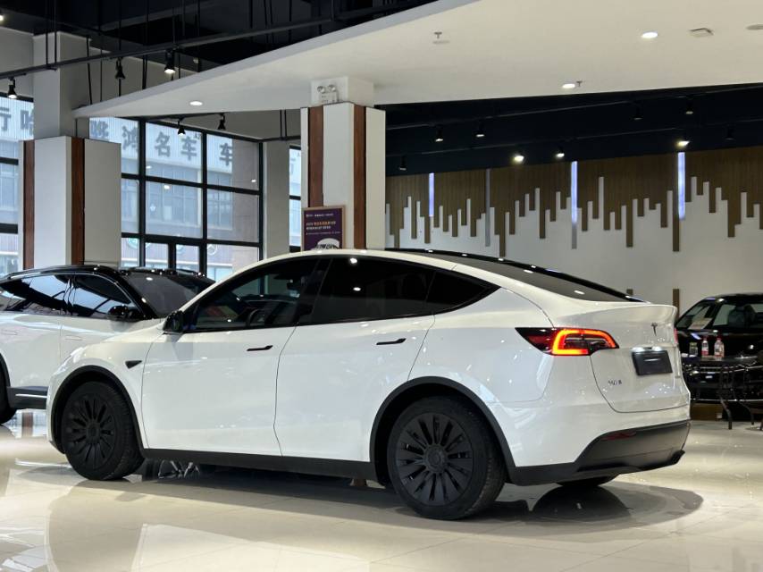 Tesla Model Y 2022 #12 Tesla Model Y 2022 car image #12