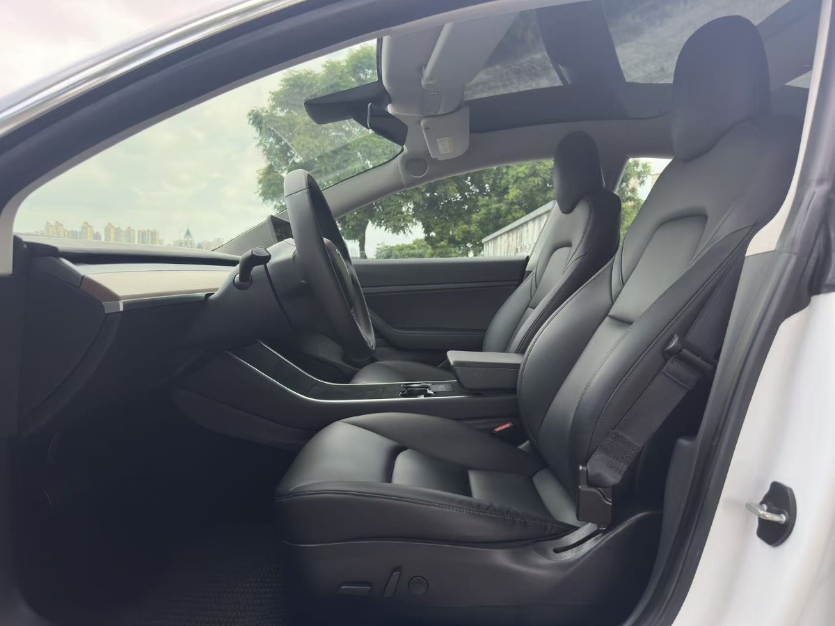 Tesla Model 3 2020 car image #4