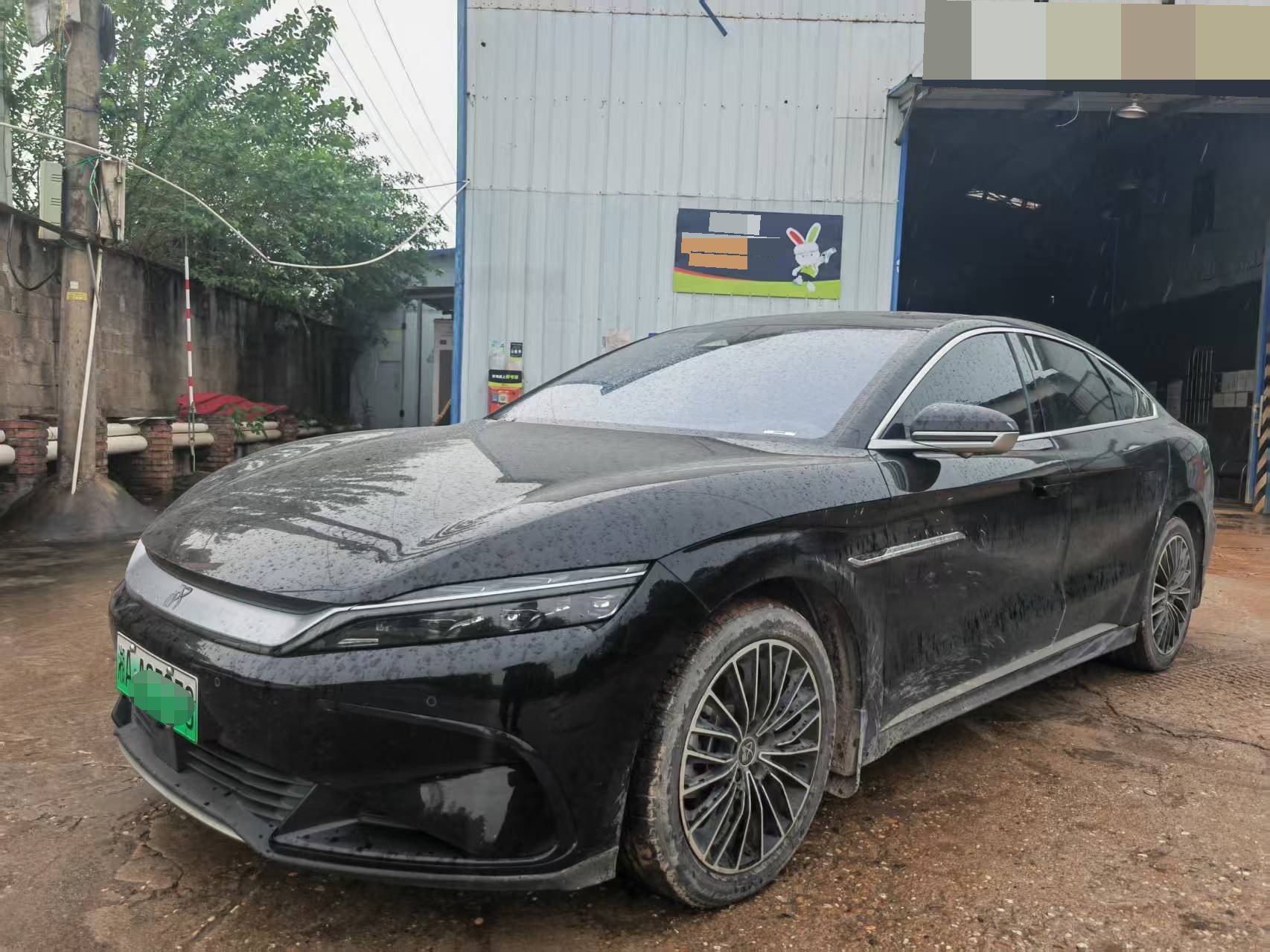 BYD Han 2024 car image 