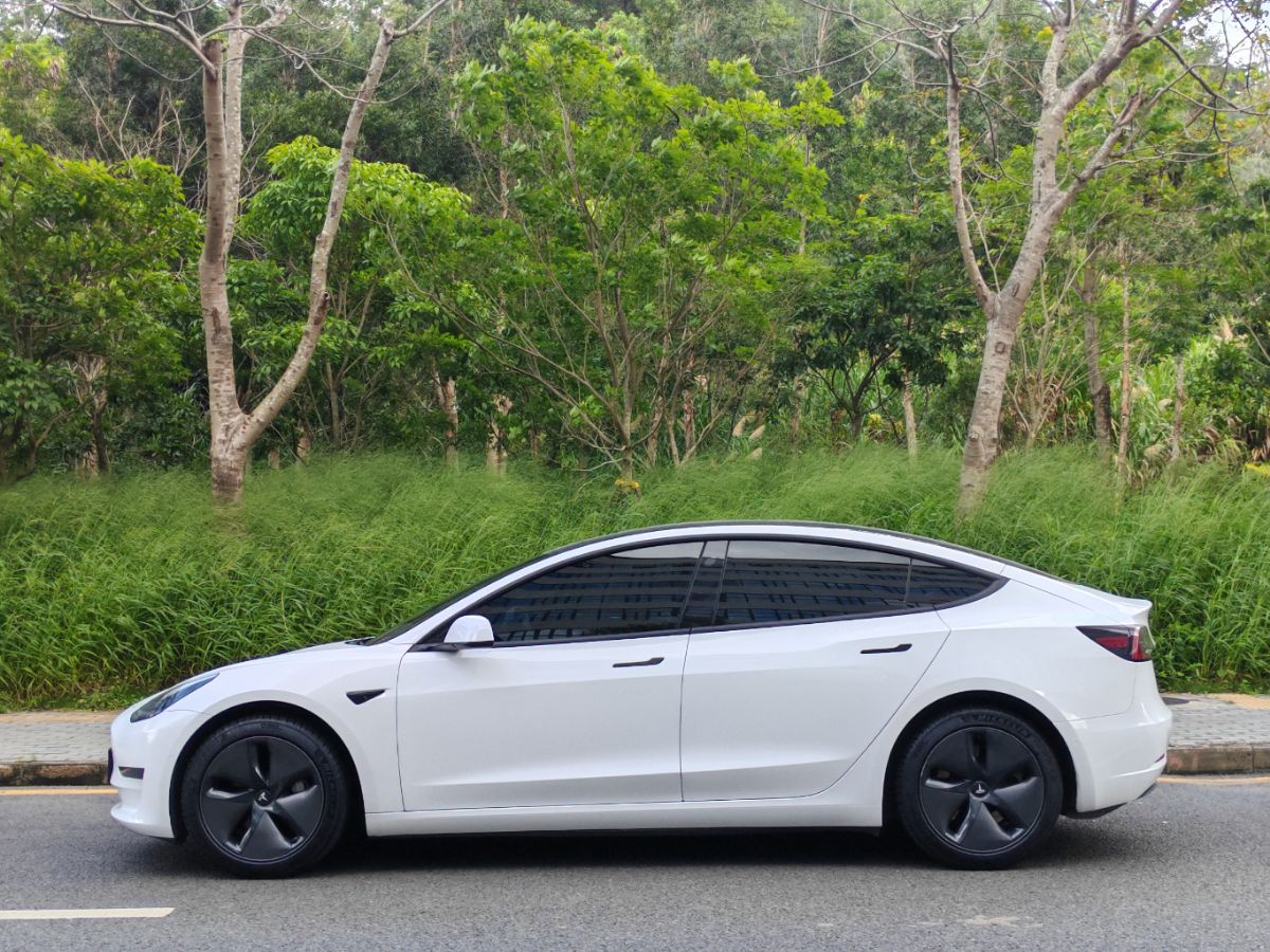 Tesla Model 3 2020 #8 Tesla Model 3 2020 car image #8