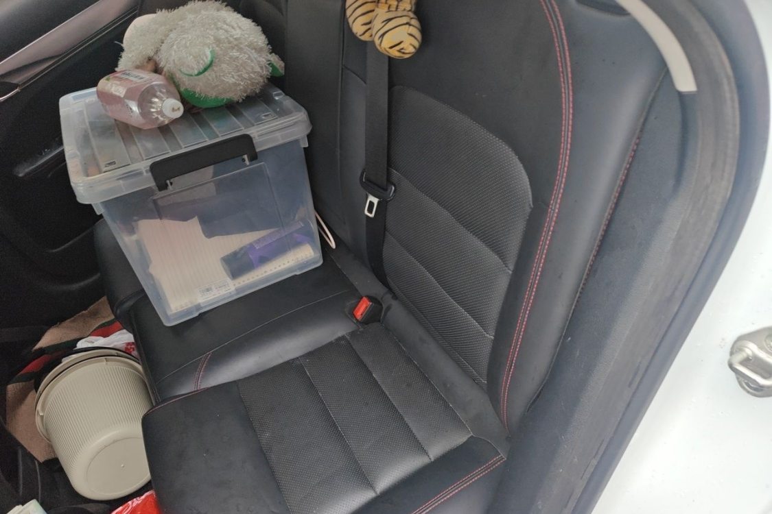 GEELY Binray 2020 #21 GEELY Binray 2020 صورة سيارة #21