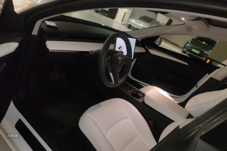 Tesla Model 3 2023 car image #17