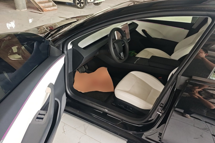 Tesla Model 3 2023 car image #16