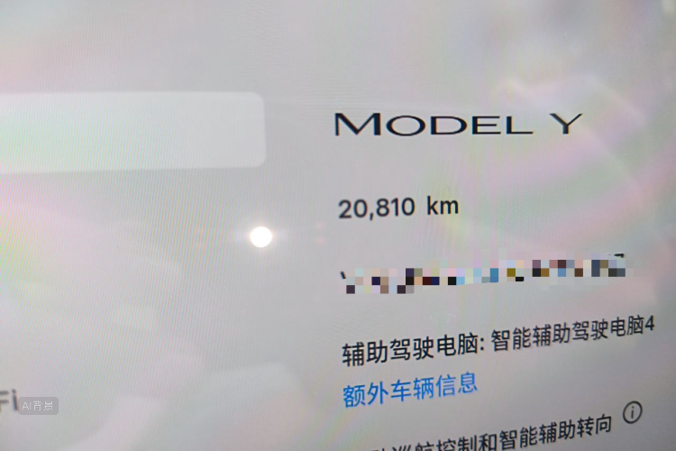 Tesla Model Y 2024 car image #14