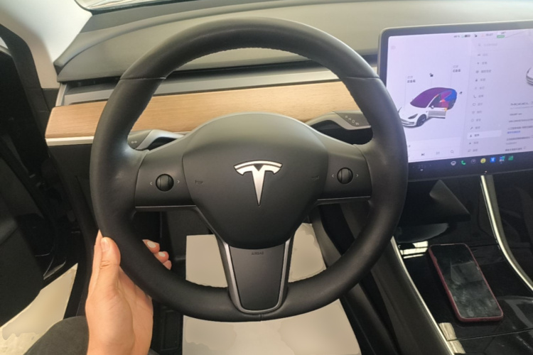 Tesla Model 3 2020 car image #11