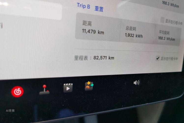 Tesla Model Y 2021 car image #14