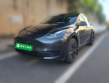 Tesla Model Y 2024 Tesla Model Y 2024 car image