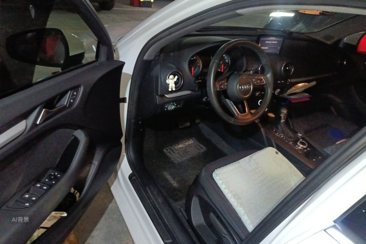 奥迪 奥迪A3 2021 汽车图片 #18
