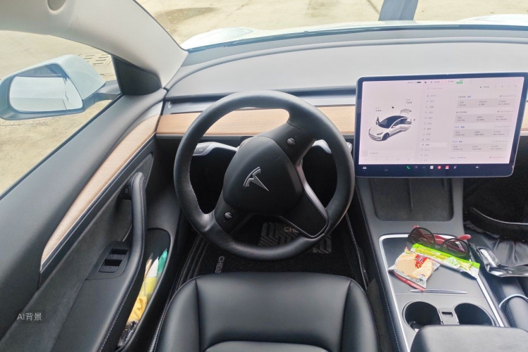 Tesla Model 3 2021 car image #12