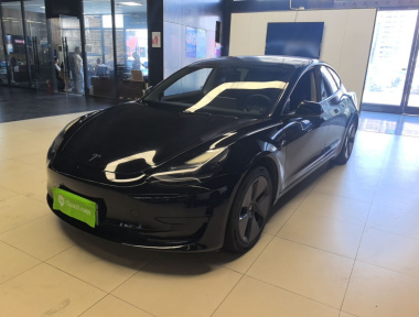 Tesla Model 3 2021 car image 