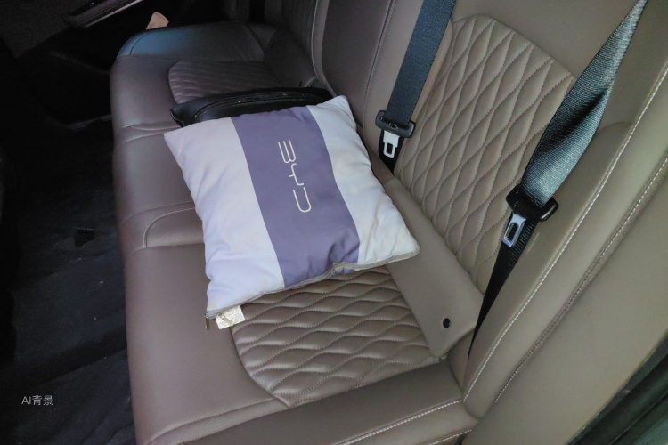 BYD Han 2023 car image #19