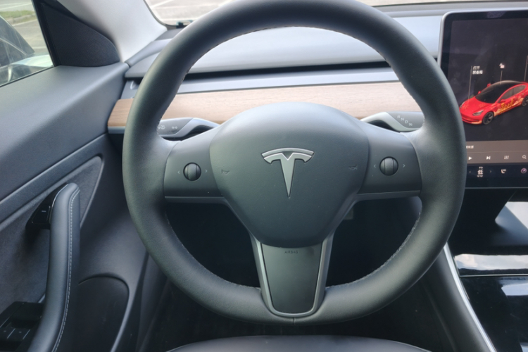 Tesla Model 3 2020 #14 Tesla Model 3 2020 car image #14