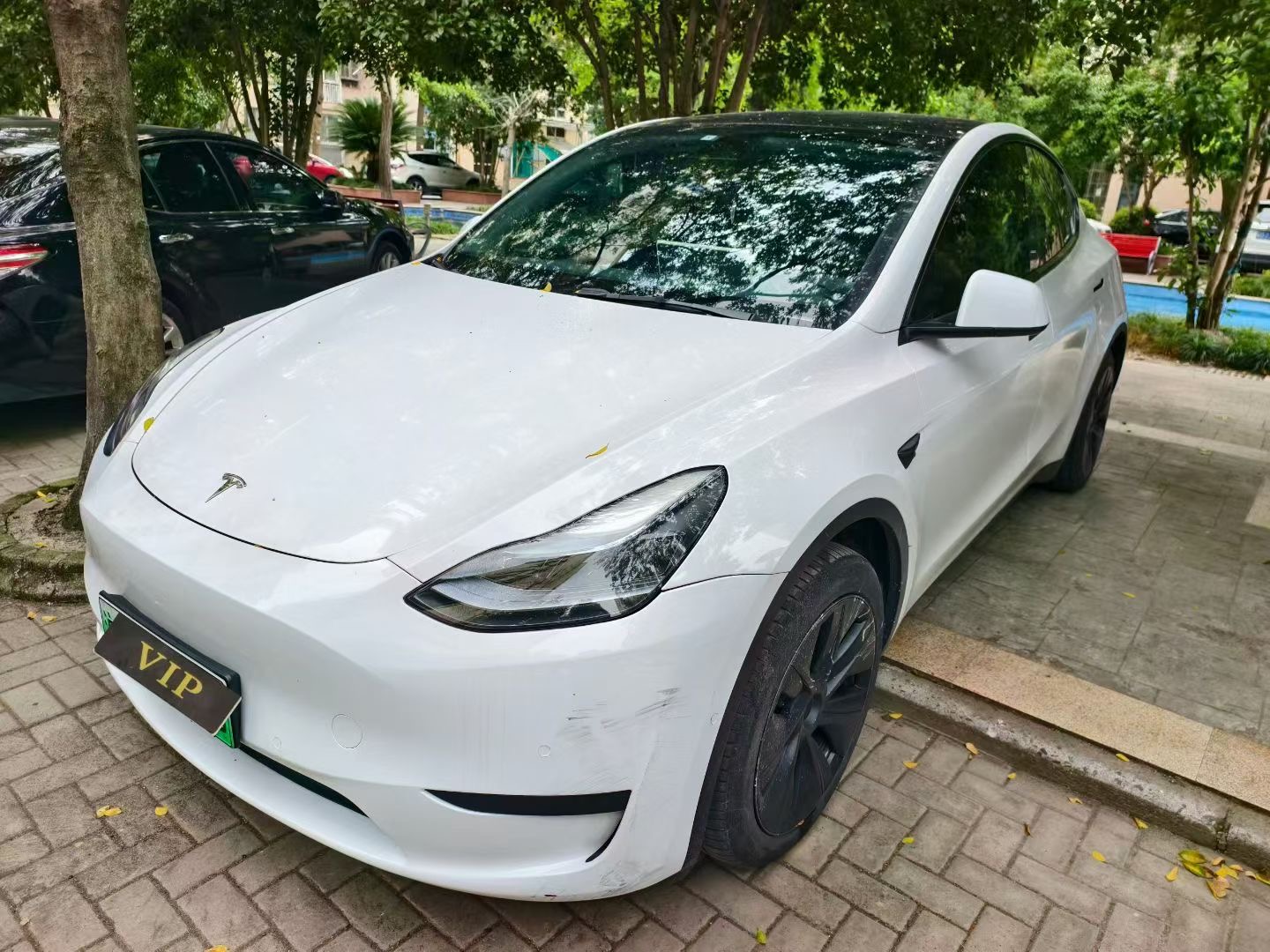 Tesla Model Y 2023 Tesla Model Y 2023 car image