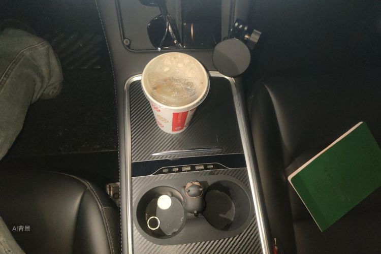 Tesla Model 3 2021 imagem de carro #16