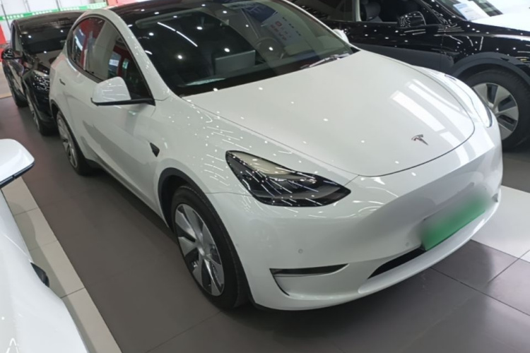 Tesla Model Y 2021 car image #4