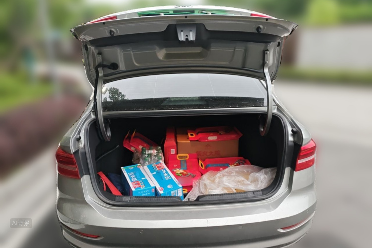 Volkswagen Lavida 2019 car image #21