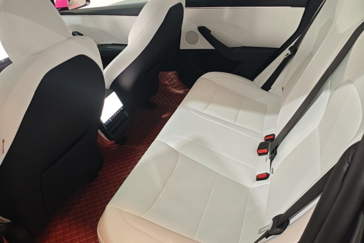 Tesla Model 3 2024 #17 Tesla Model 3 2024 car image #17