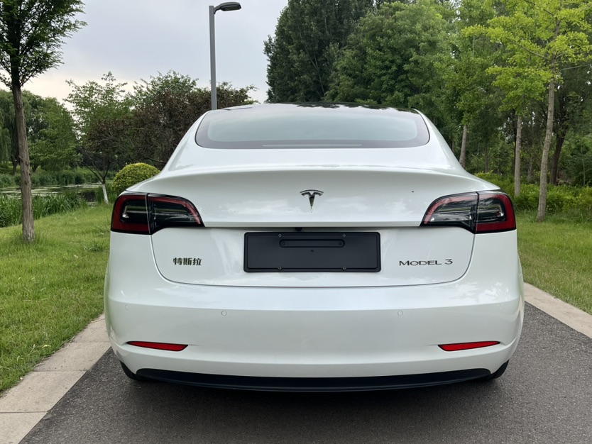 Tesla Model 3 2023 #6 Tesla Model 3 2023 car image #6