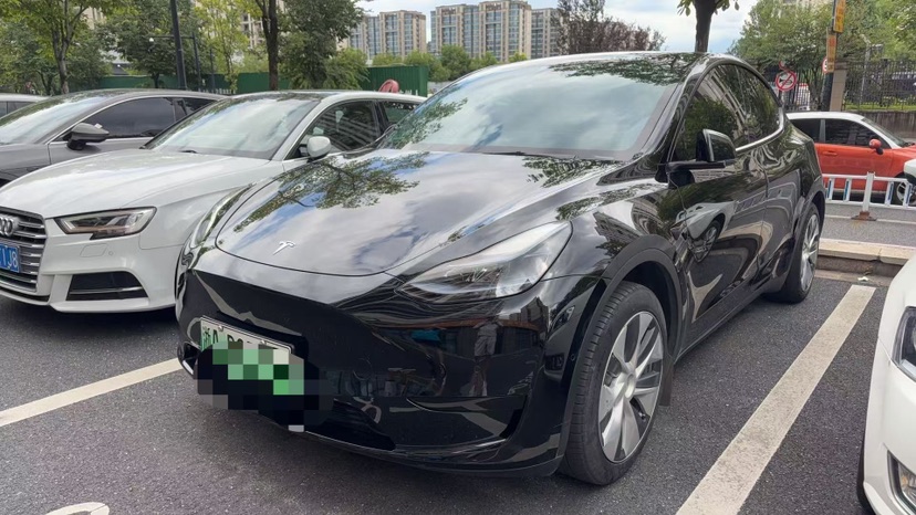 Tesla Model Y 2023 Tesla Model Y 2023 car image