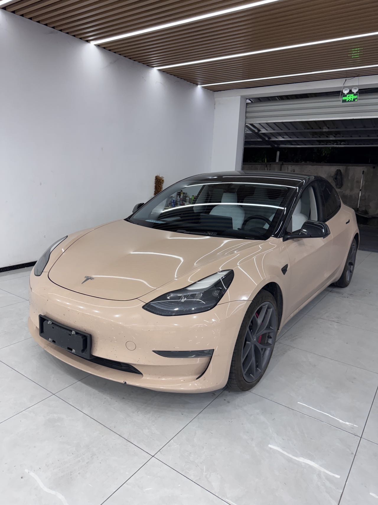 Tesla Model 3 2023 Tesla Model 3 2023 car image