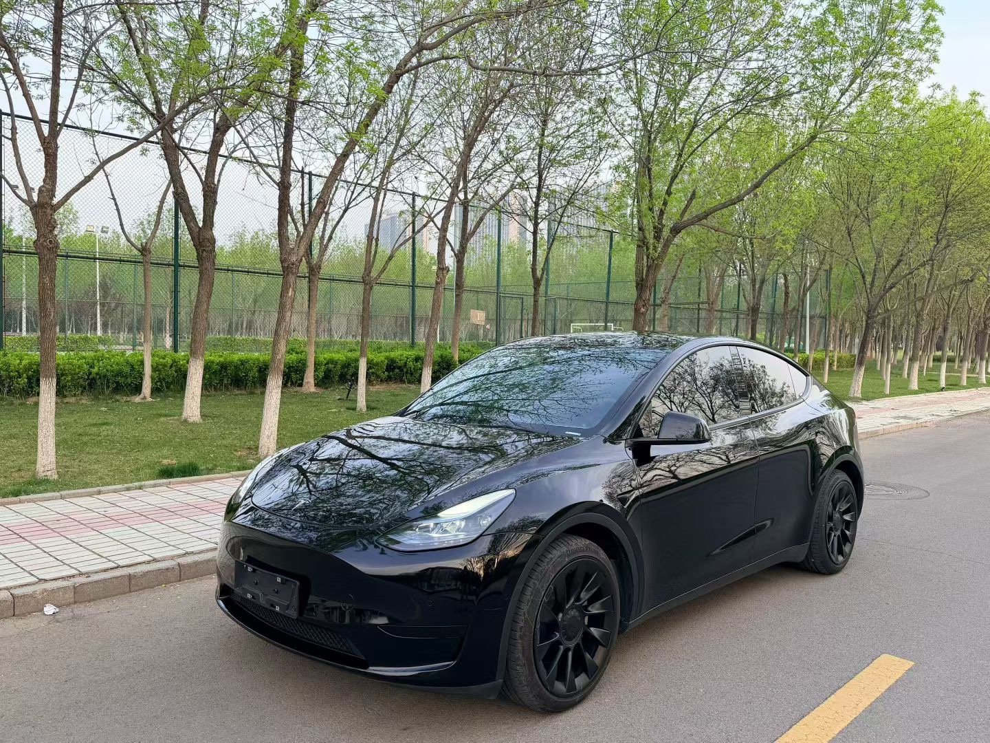 Tesla Model Y 2022 Tesla Model Y 2022 car image