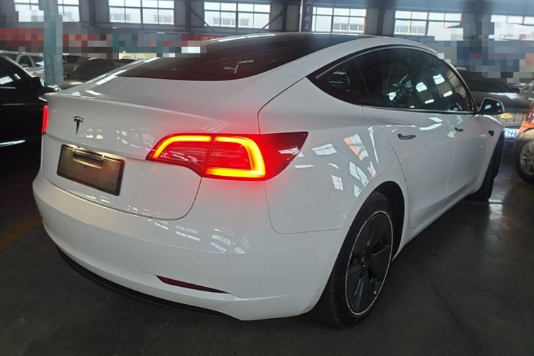Tesla Model 3 2021 #5 Tesla Model 3 2021 car image #5